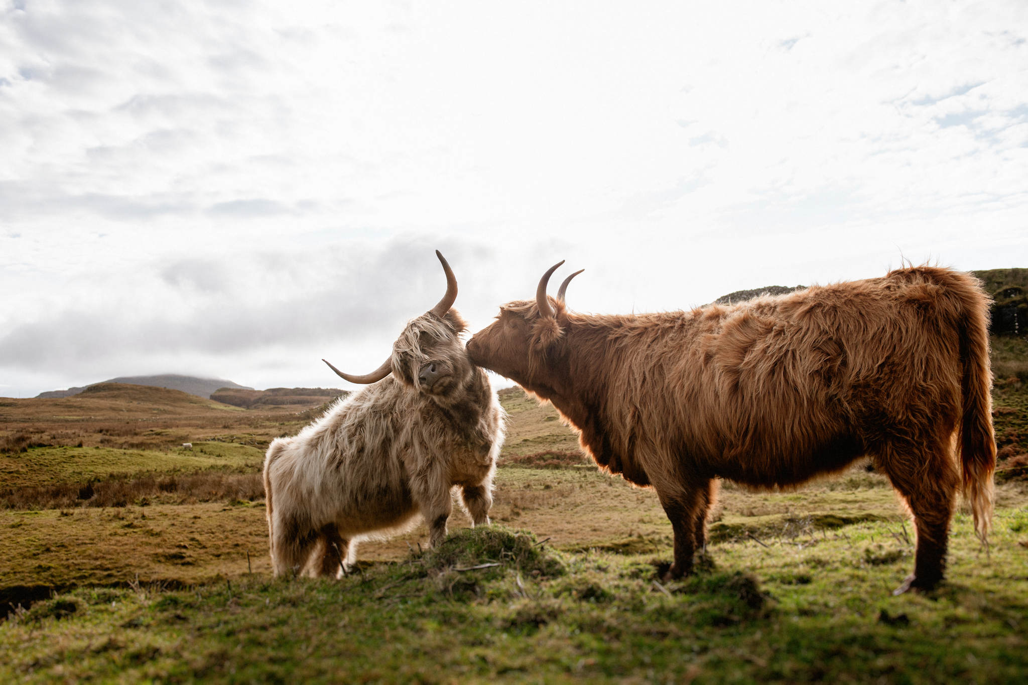 Isle of Skye, Scotland